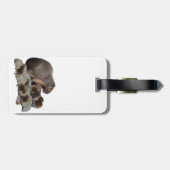 Étiquette À Bagage Capybaras De Mère Et De Bébé, (Dos horizontal)