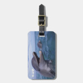 Étiquette À Bagage Caraïbes, Bottlenose (Devant Vertical)