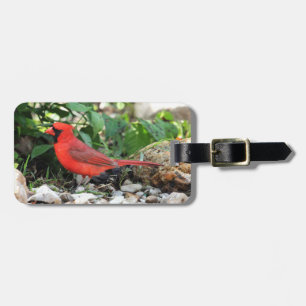 Étiquette À Bagage Cardinal