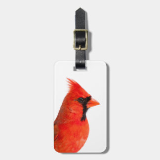 Étiquette À Bagage Cardinal Bird