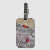 Étiquette À Bagage Cardinaux dans la neige (Devant Vertical)