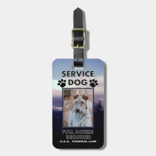 Étiquette À Bagage Carte d'identité à photo pourpre de chien de