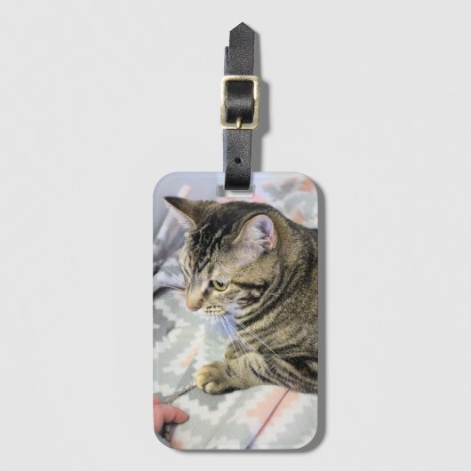 Étiquette À Bagage Cat (Devant Vertical)