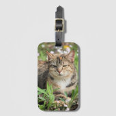 Étiquette À Bagage Cat (Devant Vertical)