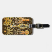 Étiquette À Bagage Cephalopod poulpe calmar Nature marine (Devant horizontal)