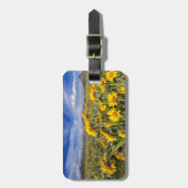 Étiquette À Bagage Chaîne Rocky Mountain Front (Devant Vertical)