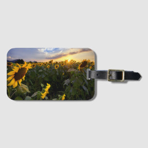 Étiquette À Bagage Champ des tournesols de floraison