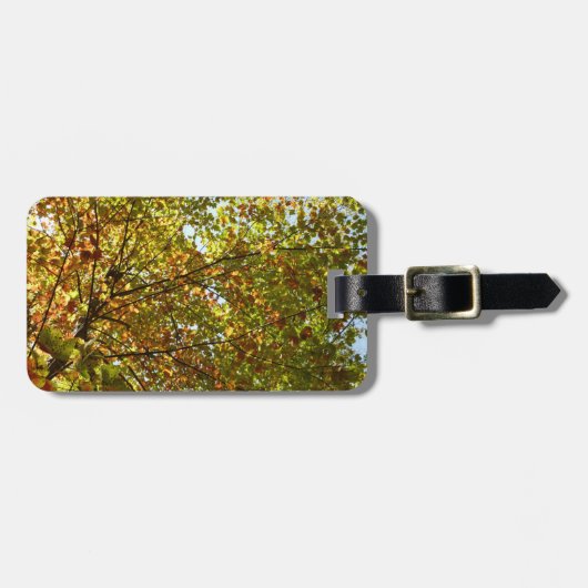 Étiquette À Bagage Changer la couleur verte et dorée de l'érable (Devant horizontal)