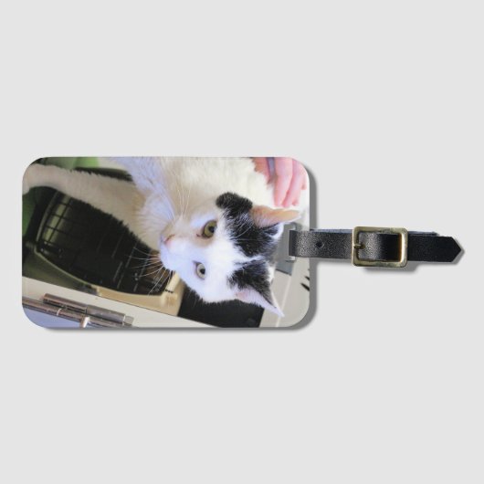 Étiquette À Bagage Chat (Devant Horizontal)