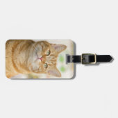 Étiquette À Bagage Chat à chat Tabby Orange (Devant horizontal)