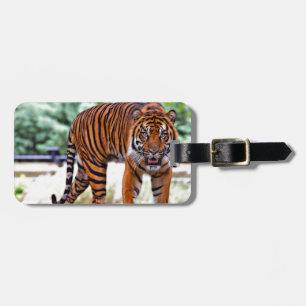 Étiquette À Bagage chat à motif tigre personnalisé Anniversaires