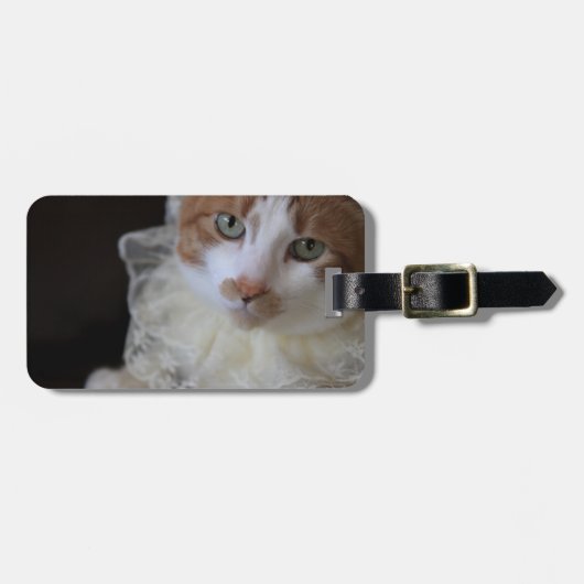 Étiquette À Bagage Chat au col en dentelle (Devant horizontal)