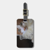 Étiquette À Bagage Chat au col en dentelle (Devant Vertical)