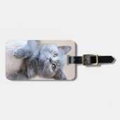 Étiquette À Bagage Chat britannique gris de Shorthair (Devant horizontal)