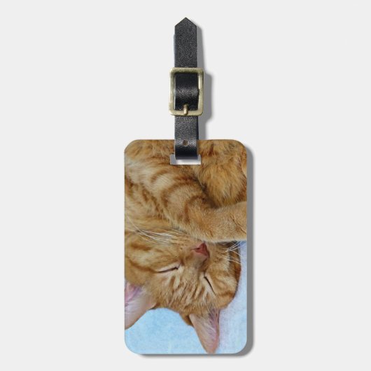Étiquette À Bagage Chat couché (Devant Vertical)