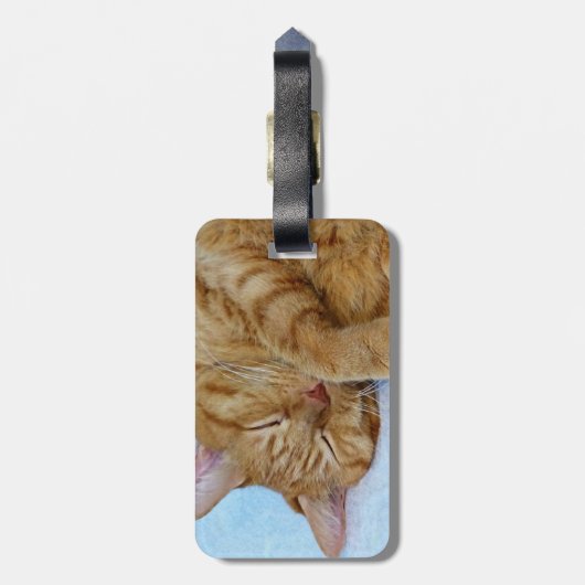 Étiquette À Bagage Chat couché (Dos Vertical)