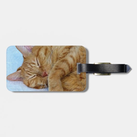 Étiquette À Bagage Chat couché (Dos horizontal)