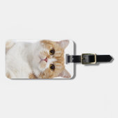 Étiquette À Bagage Chat de pli d'écossais (Devant horizontal)