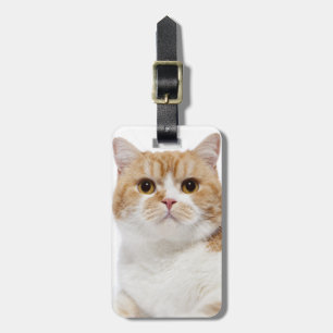 Étiquette À Bagage Chat de pli d'écossais