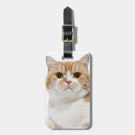 Étiquette À Bagage Chat de pli d'écossais (Devant Vertical)