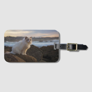 Étiquette À Bagage Chat de Ragdoll à la plage