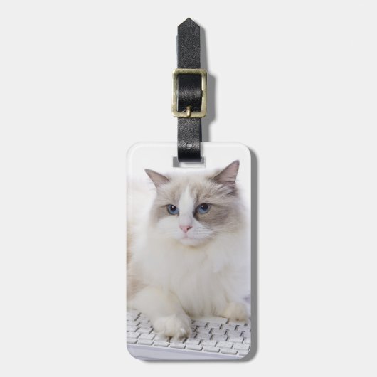 Étiquette À Bagage Chat de Ragdoll sur le clavier (Devant Vertical)