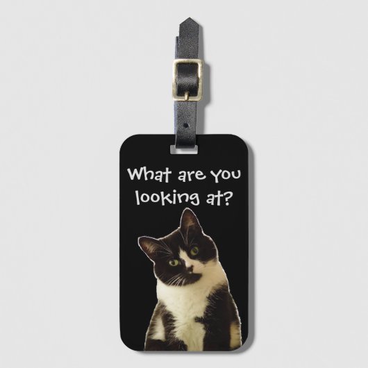 Étiquette À Bagage Chat drôle "Qu'est-ce que vous regardez ?" Slogan (Devant Vertical)