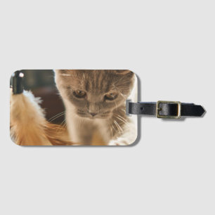 Étiquette À Bagage Chat, Mignonne, Petite