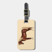 Étiquette À Bagage Châtaigner égyptien Cheval Arabe laxen Mane & Tail (Devant Vertical)