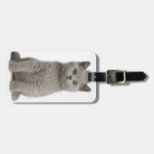 Étiquette À Bagage Chaton britannique de Shorthair (Devant horizontal)