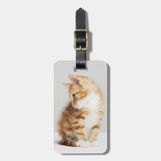 Étiquette À Bagage Chaton de gingembre (Devant Vertical)