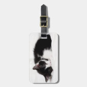 Étiquette À Bagage Chaton de sommeil (Devant Vertical)