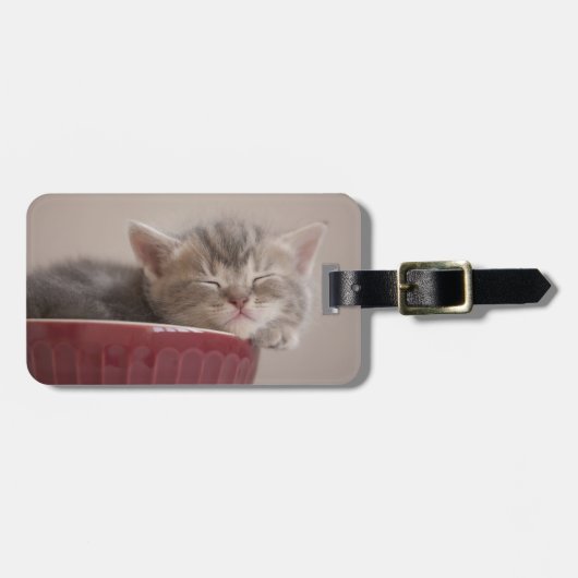 Étiquette À Bagage Chaton dormant dans une cuvette (Devant horizontal)
