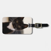 Étiquette À Bagage Chaton noir et blanc mignon de smoking (Devant horizontal)