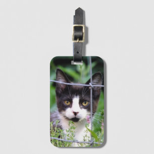 Étiquette À Bagage Chaton smoking dans le jardin 