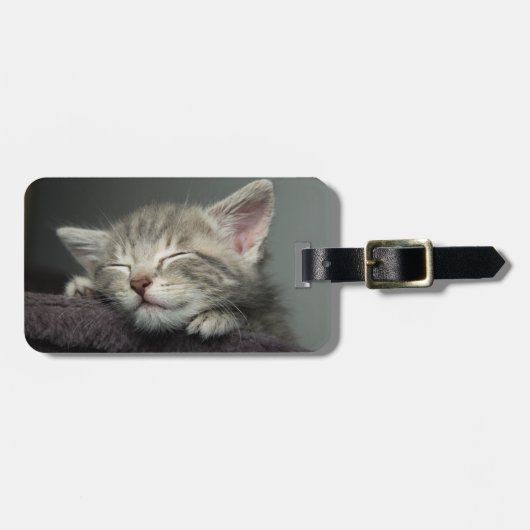 Étiquette À Bagage Chaton somnolent (Devant horizontal)