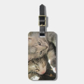 Étiquette À Bagage Chatons de chimères (Devant Vertical)