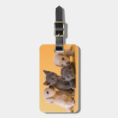 Étiquette À Bagage Chatons et chiots bleus russes de teckel (Devant Vertical)