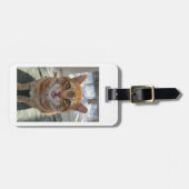 Étiquette À Bagage Chats Sassy (Devant horizontal)