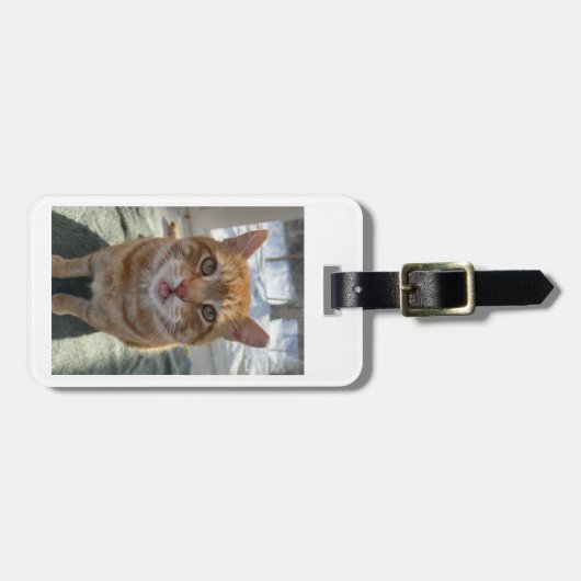 Étiquette À Bagage Chats Sassy (Devant horizontal)
