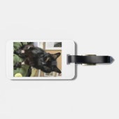 Étiquette À Bagage Chats Sassy (Dos horizontal)