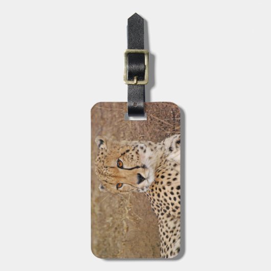 Étiquette À Bagage Cheetah (Devant Vertical)