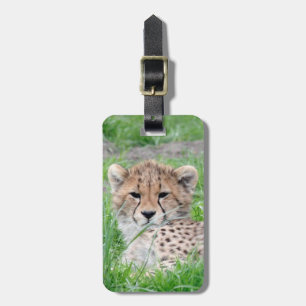Étiquette À Bagage Cheetah20150904
