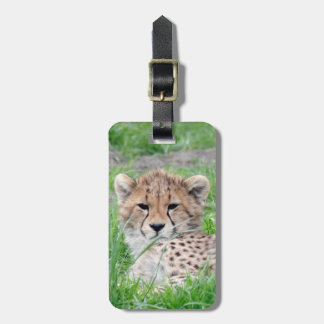 Étiquette À Bagage Cheetah20150904