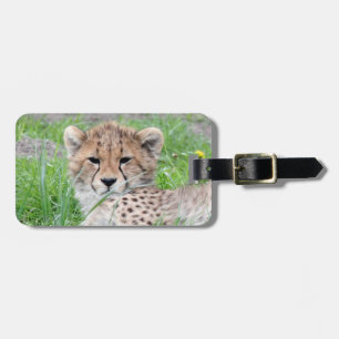 Étiquette À Bagage Cheetah20150904