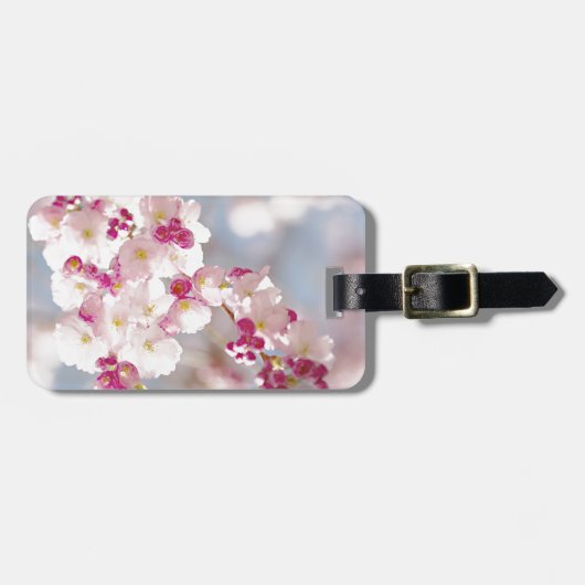 Étiquette À Bagage Cherry blossom / sakura / körsbärsblom (Devant horizontal)