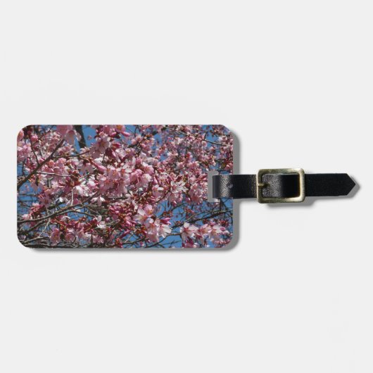 Étiquette À Bagage Cherry Blossoms et Blue Sky Spring Floral (Devant horizontal)