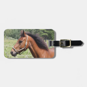 Étiquette À Bagage Cheval