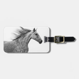 Étiquette À Bagage Cheval andalou russe galopant