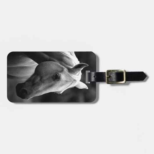 Étiquette À Bagage Cheval blanc noir (Devant horizontal)